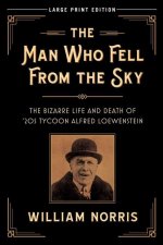 Man Who Fell From the Sky