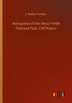 Antiquities of the Mesa Verde National Park, Cliff Palace