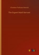 Expert Maid-Servant