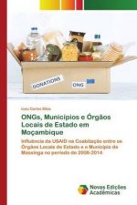 ONGs, Municípios e Órg?os Locais de Estado em Moçambique