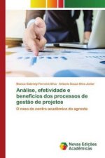 Análise, efetividade e benefícios dos processos de gest?o de projetos