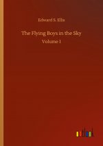 Flying Boys in the Sky