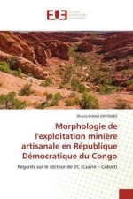 Morphologie de l'exploitation miniere artisanale en Republique Democratique du Congo
