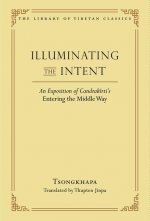 Illuminating the Intent