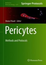 Pericytes