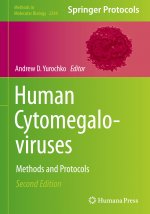 Human Cytomegaloviruses
