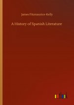 History of Spanish Literature