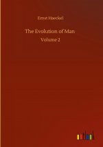 Evolution of Man