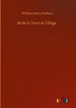 Birds in Town & Village