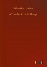 Traveller in Little Things