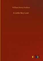 Little Boy Lost