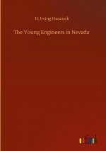Young Engineers in Nevada