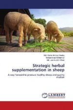 Strategic herbal supplementation in sheep