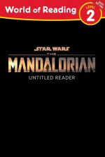 Star Wars: The Mandalorian: Allies & Enemies Level 2 Reader