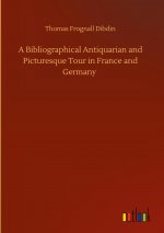 Bibliographical Antiquarian and Picturesque Tour in France and Germany
