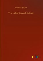 Noble Spanish Soldier