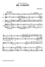 DIE AUSSICHT CHAMBER GROUP SOPRANO FLUTE