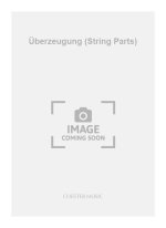BERZEUGUNG STRING PARTS STRING INSTRUMEN