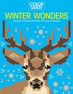Color Quest: Winter Wonders: Extreme Color-By-Number Pictures to Reveal