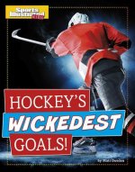 Hockey's Wickedest Goals!