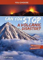 Can You Stop a Volcanic Disaster?: An Interactive Eco Adventure
