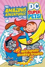 Metropolis Monkey Trouble