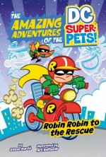Robin Robin to the Rescue