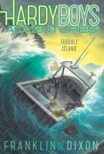 Trouble Island, 22