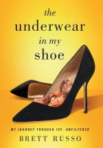 Underwear in My Shoe