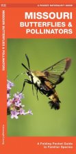 Missouri Butterflies & Pollinators: A Folding Pocket Guide to Familiar Species