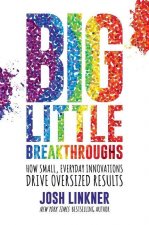Big Little Breakthroughs