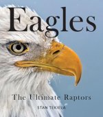 Bald Eagles