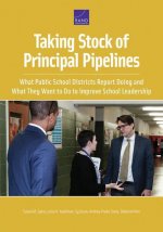 Taking Stock of Principal Pipelines
