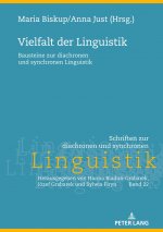 Vielfalt der Linguistik; Bausteine zur diachronen und synchronen Linguistik