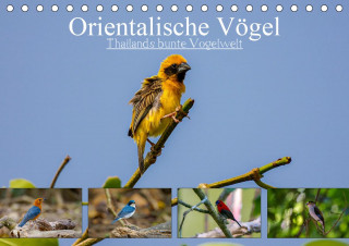Orientalische Vögel - Thailands bunte Vogelwelt (Tischkalender 2021 DIN A5 quer)