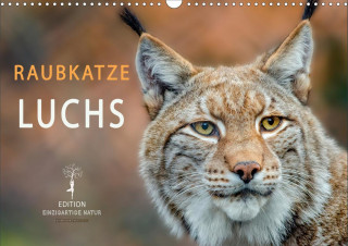 Raubkatze Luchs (Wandkalender 2021 DIN A3 quer)