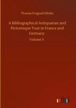 Bibliographical Antiquarian and Picturesque Tour in France and Germany