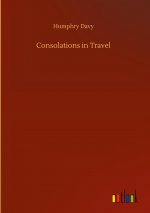 Consolations in Travel