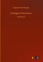 Budget of Paradoxes