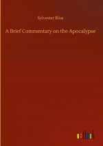 Brief Commentary on the Apocalypse