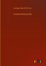 Commodore Junk