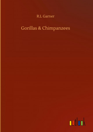 Gorillas & Chimpanzees