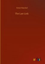 Last Link