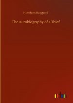Autobiography of a Thief