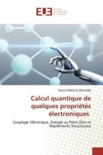 Calcul quantique de quelques proprietes electroniques