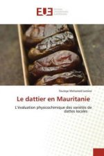 dattier en Mauritanie