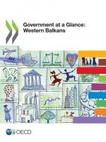 Government at a glance