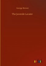 Juvenile Lavater