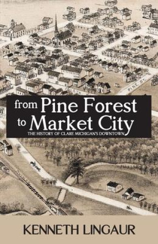From Pine Forest to Market City: The History of Clare Michigan's Downtown