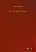 Non-Criminal Prisions